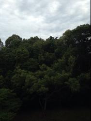 Clementi Park (D21), Condominium #1042812